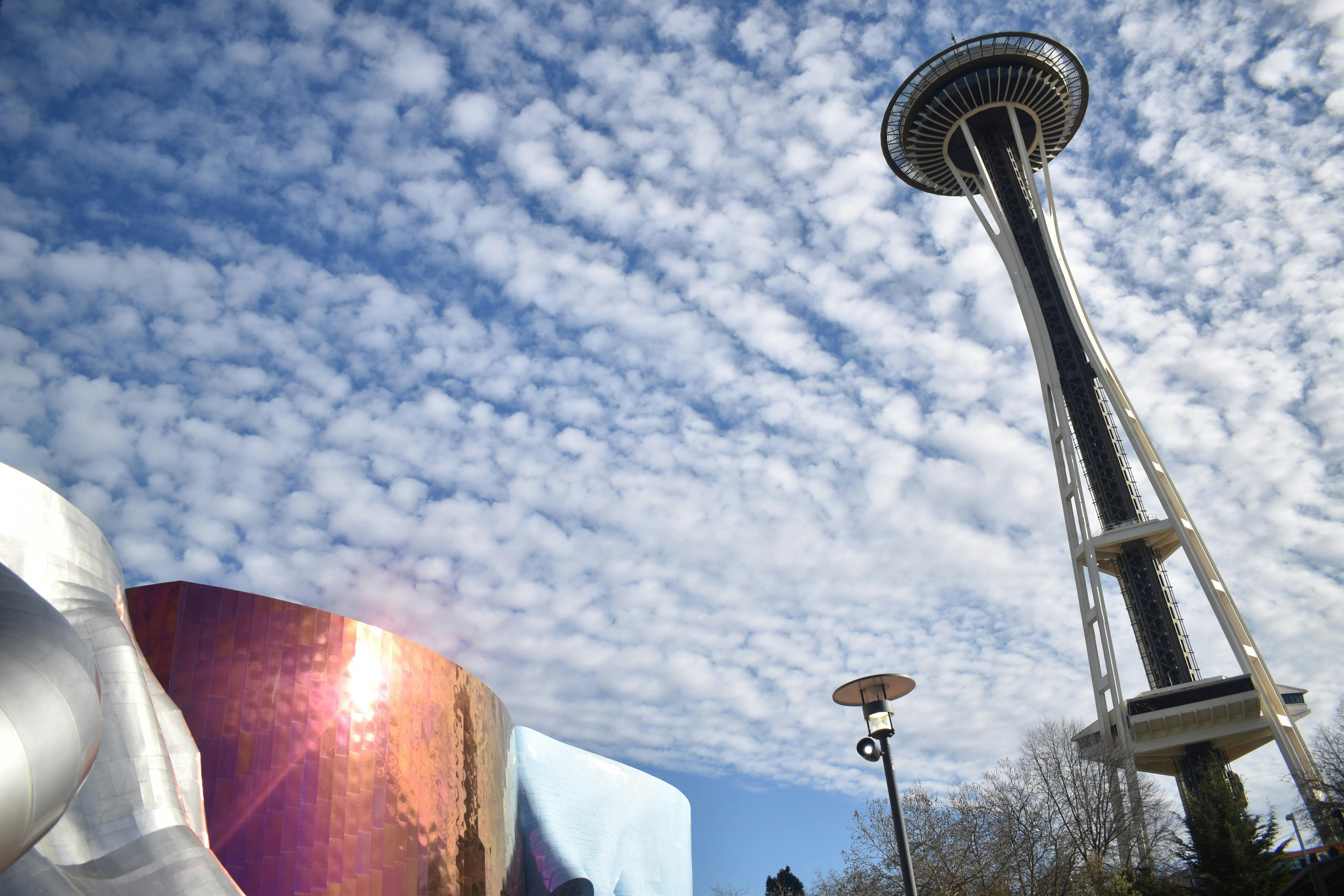 Seattle Center & Space Needle: Guided Walking Tour - Photo 1 of 5